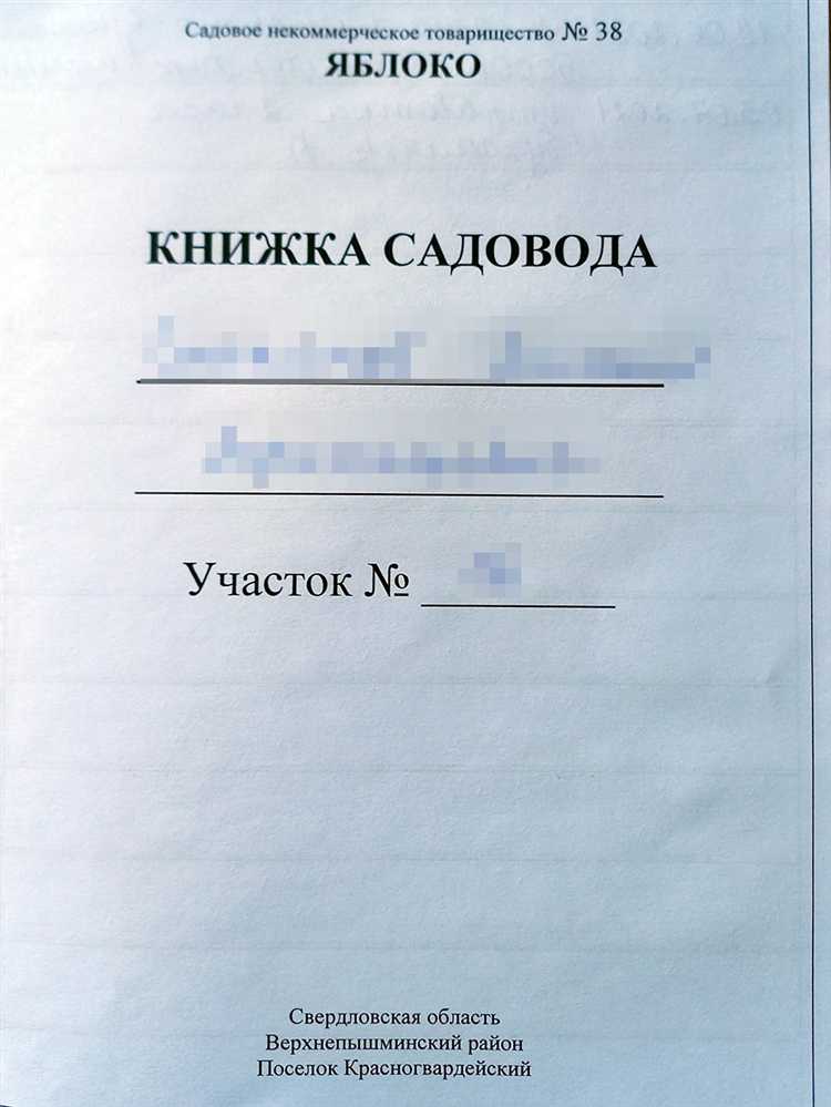 Снт в адресе что это