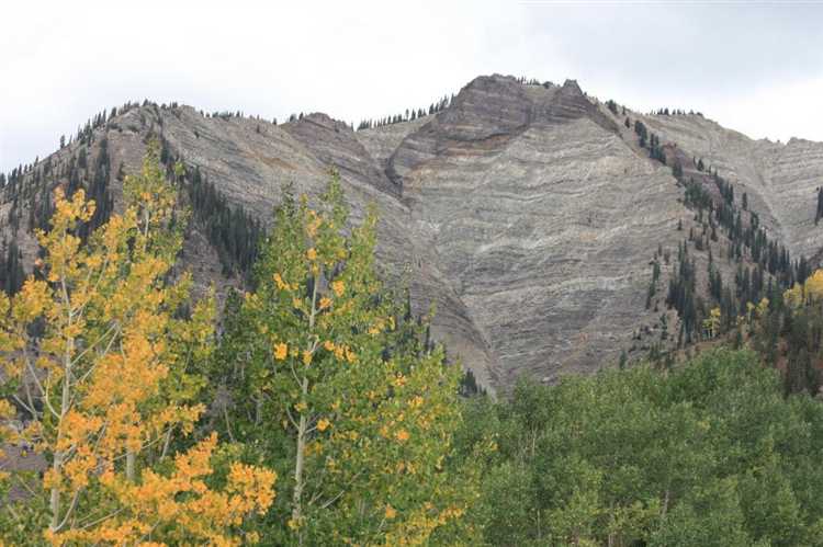 Ограничения и особенности распоряжения государственной и муниципальной собственностью