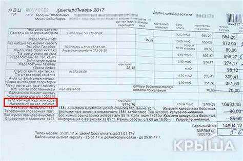 Содержание ои что это в квитанции