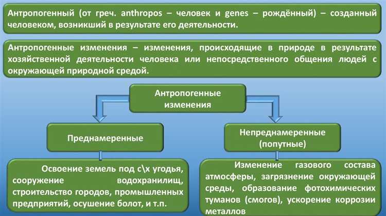 Как измеряют уровень загрязнения атмосферного воздуха