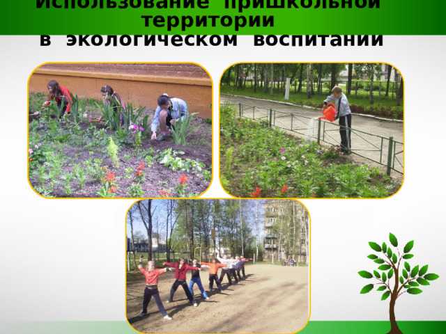 Влияние экологических НКО на образование и просвещение граждан