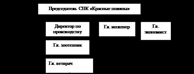 Что означает аббревиатура СПК в разных сферах