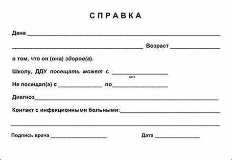 Причины отказа в приеме справки и способы их устранения