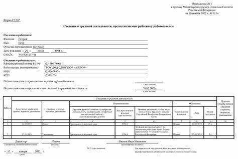 Что такое справка СТД-Р и где она применяется