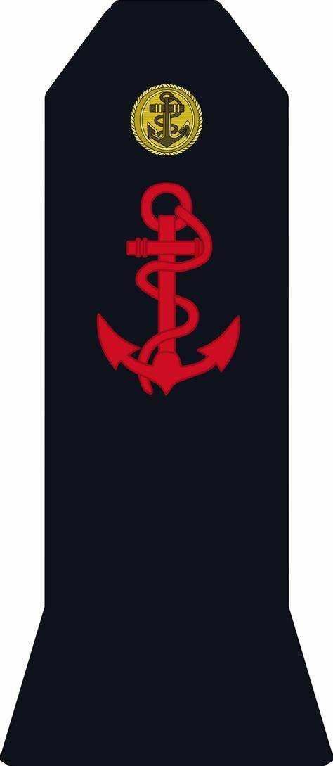 Чем звание старшего матроса отличается от матроса и младшего сержанта