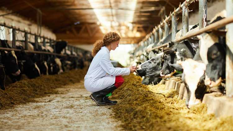 Ответственность за нарушение правил использования земли фермерским хозяйством