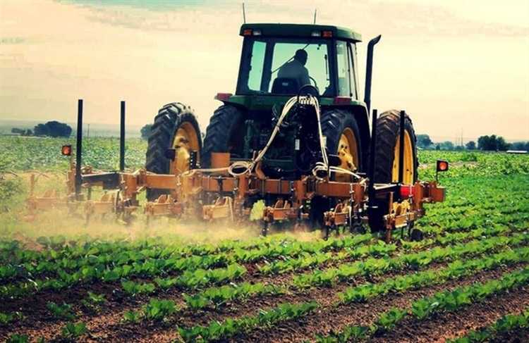 Что необходимо учитывать при изменении статуса земли фермерского хозяйства