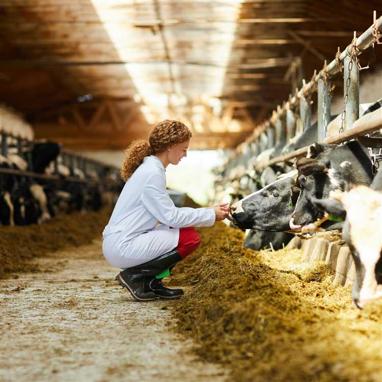 Как определить, что земля относится к фермерскому хозяйству