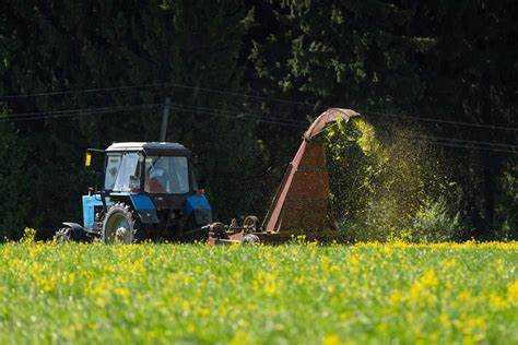 Статус земли фермерское хозяйство что это Статус земли фермерское хозяйство что это