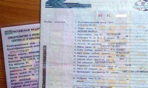 Когда и где выдают СТС на автомобиль