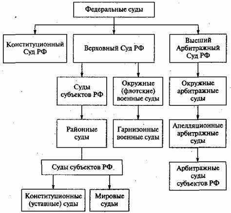 Процессуальные особенности и компетенция Суда по интеллектуальным правам