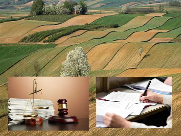 Как судебные решения влияют на пробелы в законодательстве