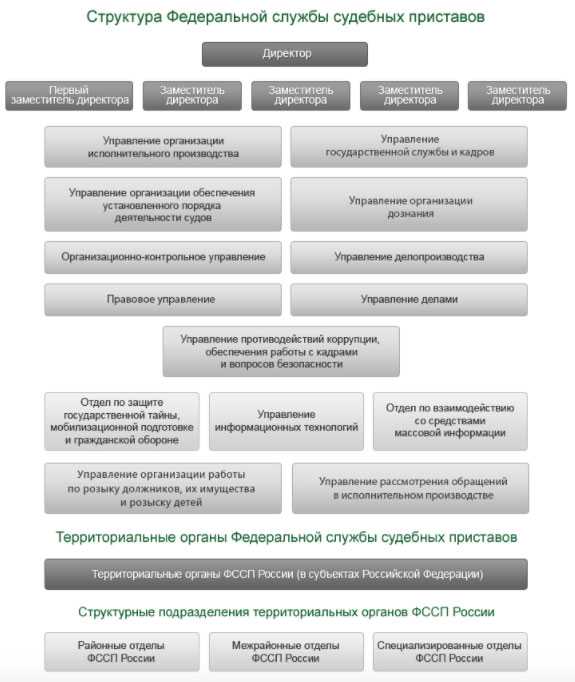 Какие навыки и знания оцениваются при приёме на службу