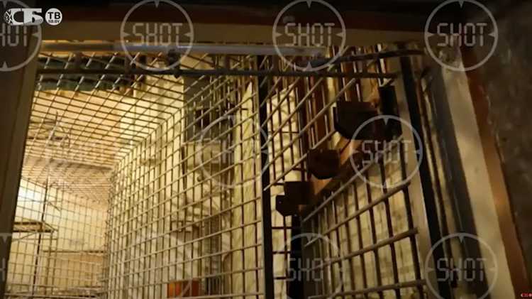 Возможные причины поведения судьи с точки зрения профессиональной среды