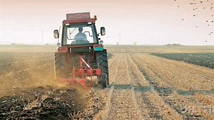 Можно ли возводить жилой дом на участке в зоне СХ-2