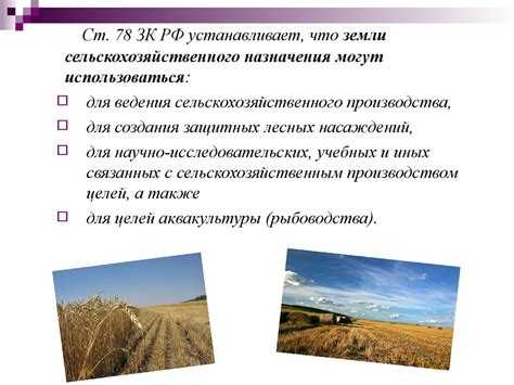 Требования к размещению объектов на участке с видом использования СХ 3