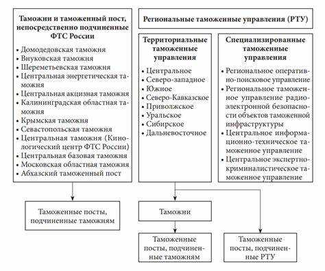 Использование результатов таможенного контроля в налоговых проверках