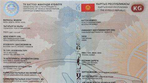 Техпаспорт на машину как выглядит Техпаспорт на машину как выглядит