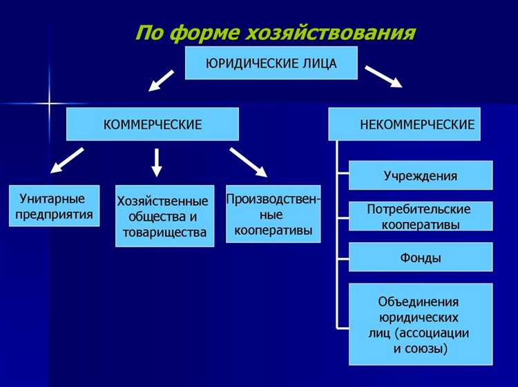 Какие типы субъектов применимы для малого и среднего предпринимательства