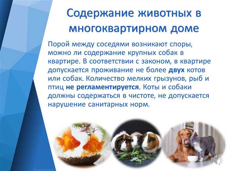 Минимальные размеры жилых помещений для различных категорий жилья