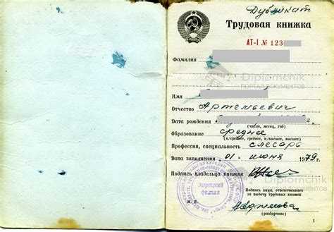 Процедура получения трудовой книжки при первом официальном трудоустройстве
