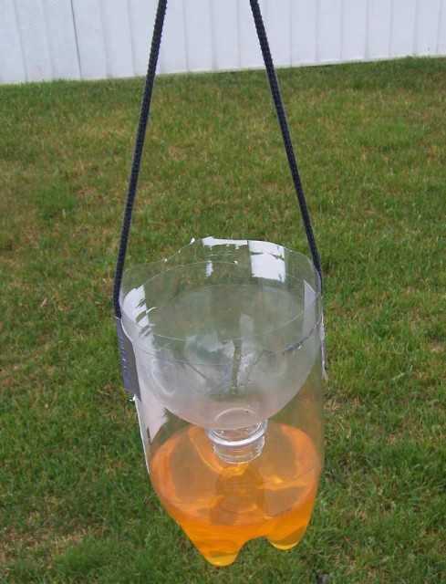 У соседей пчелы что делать по закону У соседей пчелы что делать по закону