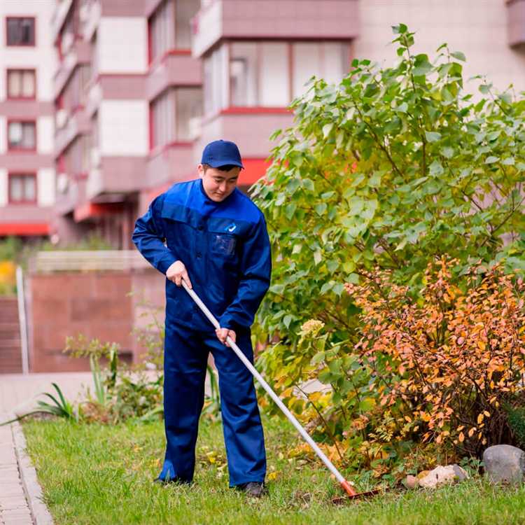 Как правильно поддерживать порядок на территории возле входов и выходов