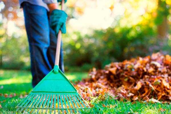 Специфика уборки в зимний период: требования и рекомендации