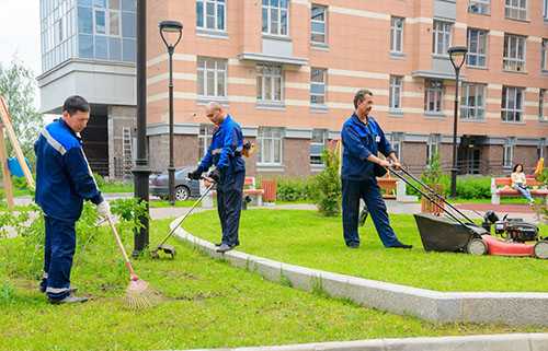 Требования к уборке территорий вокруг здания по санитарным нормам