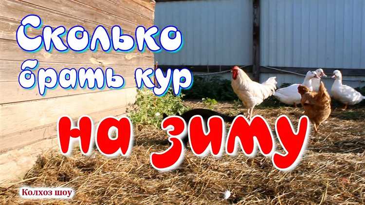 Как понять, что участок числится без курта в выписке ЕГРН