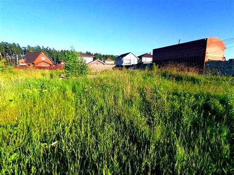 Как избежать дальнейшего зарастания участка лесом