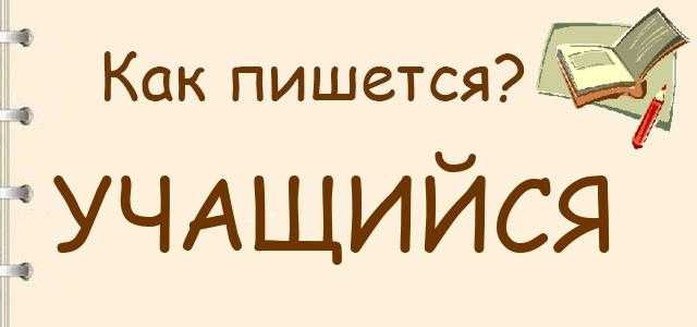 Частые ошибки при выборе термина в повседневной речи и письме
