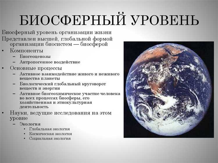 Земельный кадастр должен регулярно обновляться с учетом реального использования участков. Недостоверные данные ведут к нецелевому применению земель и утрате агропотенциала. Для снижения рисков важно внедрение систем агропланирования с использованием спутниковой съемки и геоинформационных технологий.