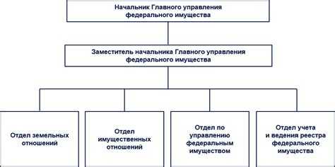 Какие органы исполнительной власти отвечают за управление федеральной собственностью