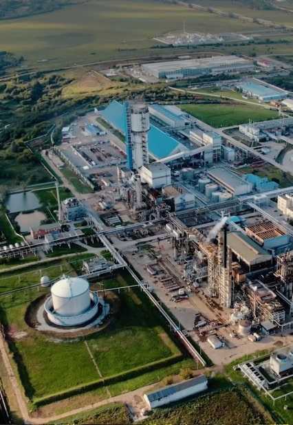 Роль государственных и международных организаций в сотрудничестве