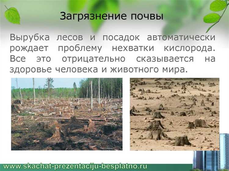 Мониторинг и контроль почвенного состояния в охраняемых территориях