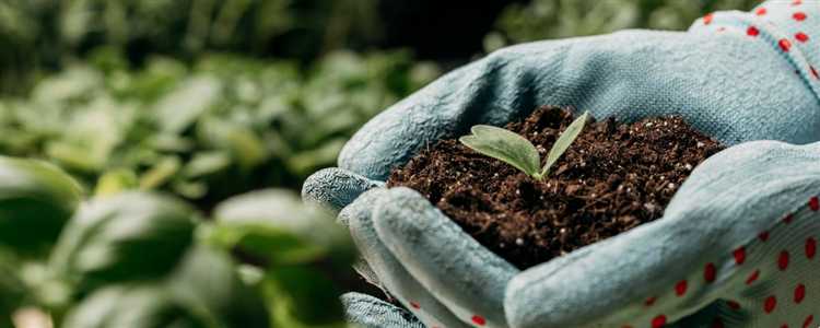 Методы выявления и оценки степени повреждения почв