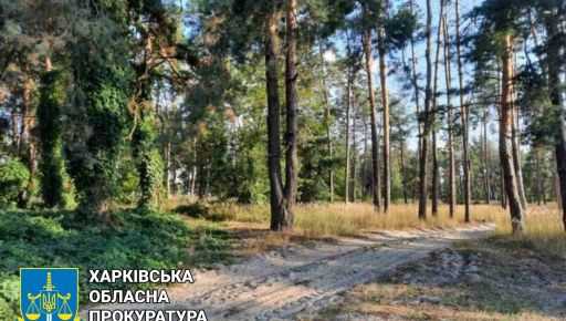 Ущерб почвам как объекту охраны окружающей среды