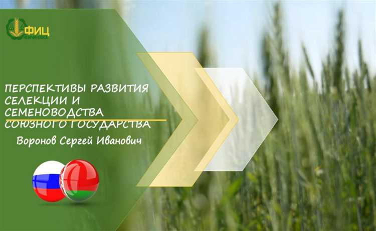 Перспективы увеличения финансирования программ