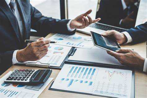 Организация внутреннего финансового контроля и управления рисками