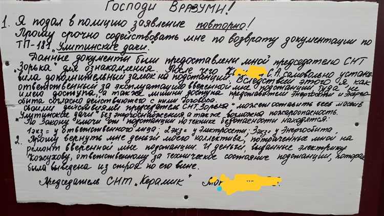 Как председатель СНТ организует общее собрание членов садоводства