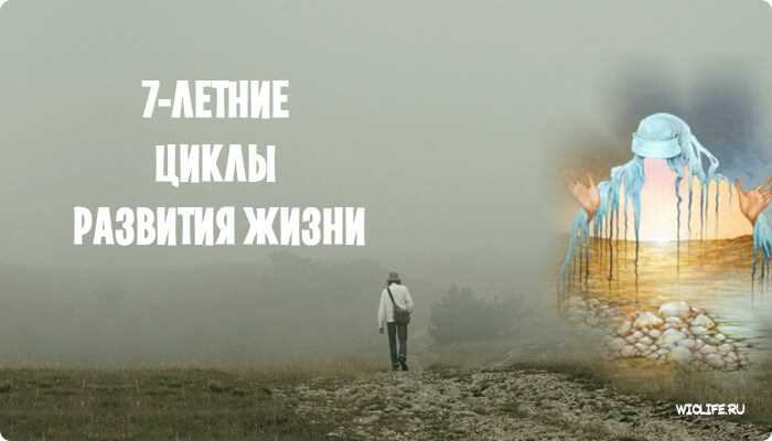 За что сидят 7 лет