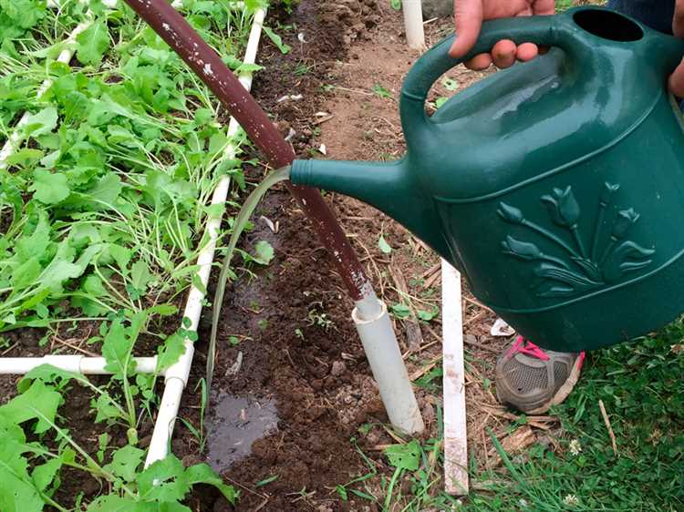 Публикация чужого контента с признаками разжигания межнациональной розни