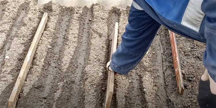 Повторная публикация фейков о государственных органах и её последствия