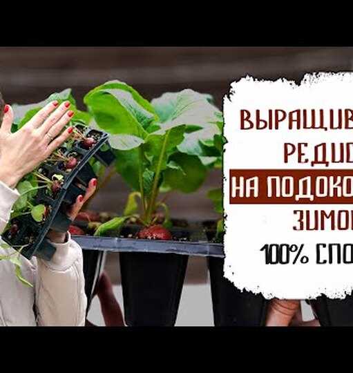 За какие репосты могут посадить