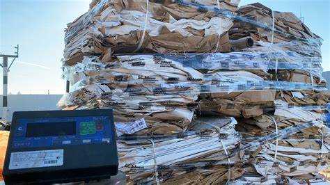 Особенности учета и отчетности по экологическому сбору на различные группы товаров