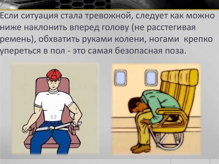 Какие документы и сведения включает типовое положение