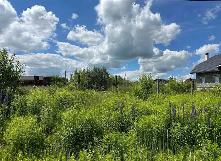 Как получить разрешение на строительство или использование участка в зоне Ф