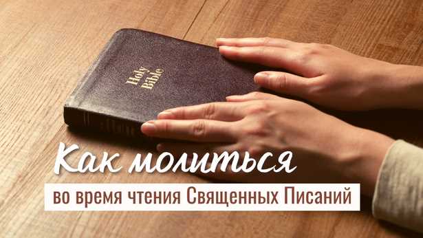 Что означает термин 