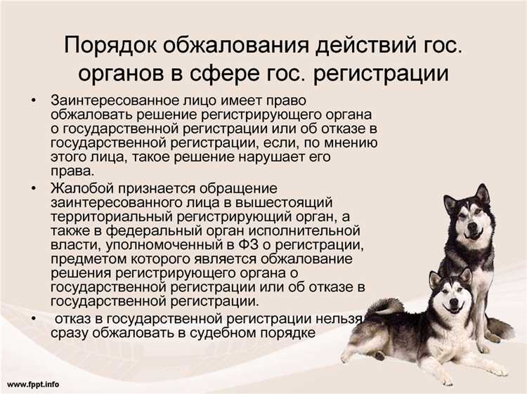 Юридическая ответственность за нарушение запрета на ликвидацию